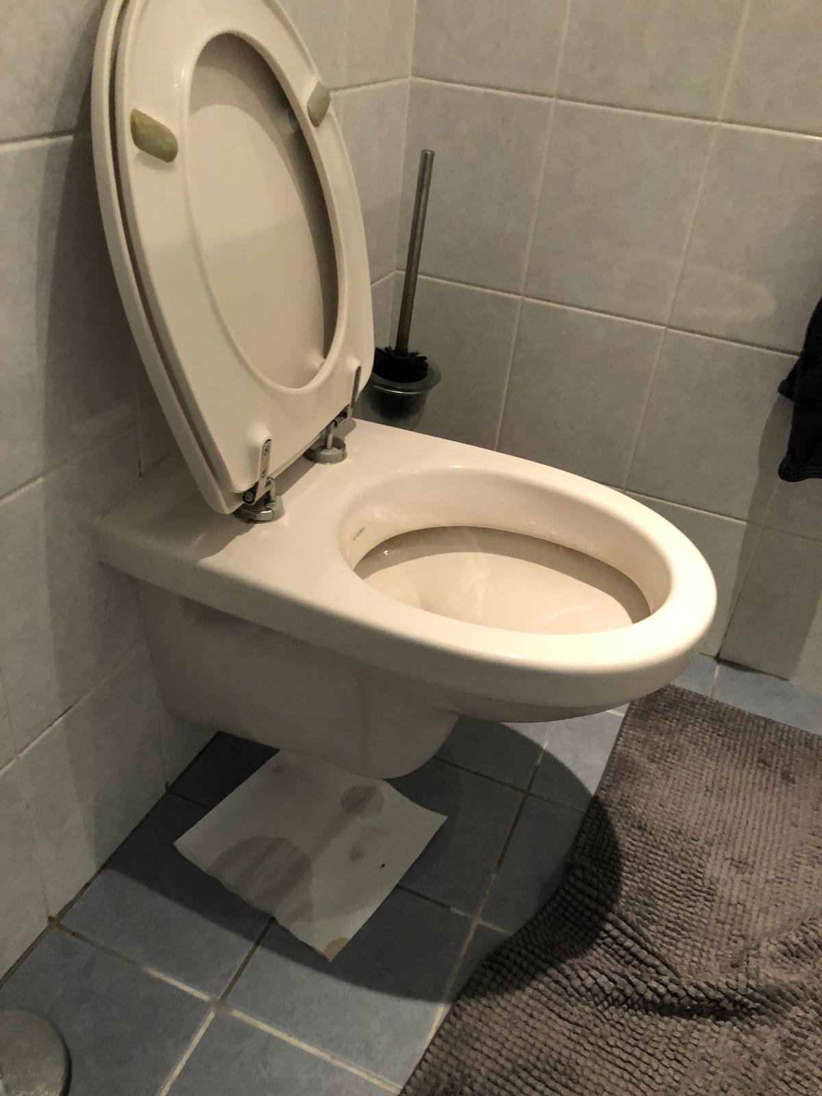 hangtoilet IJsselstein